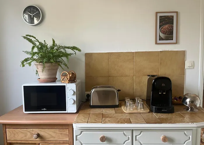 Rez De Villa Avec Jardinet Proche De La Plage